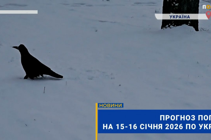 Головні новини - a0d7dac2-76de-4932-970d-fb1ff78144f7 - зображення
